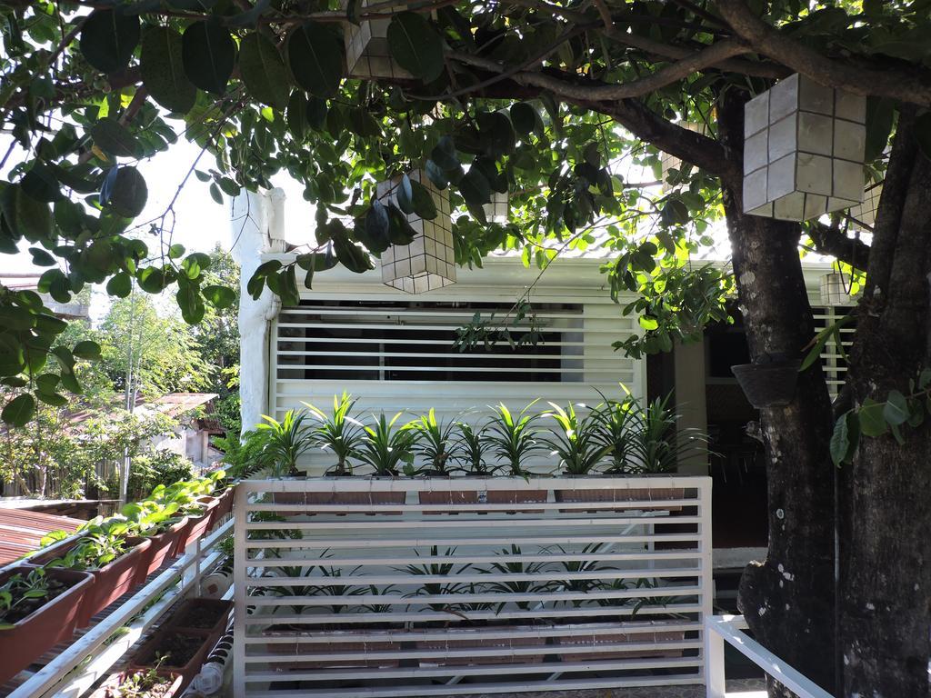 Orange Mangrove Pension House By Sms Hospitality Puerto Princesa Екстер'єр фото